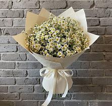 Букет цветов из:  Ромашки #REPLACE_PRED# Каменский