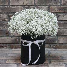 Цветочная композиция из Гипсофила в шляпной коробке #REPLACE_PRED# Каменский